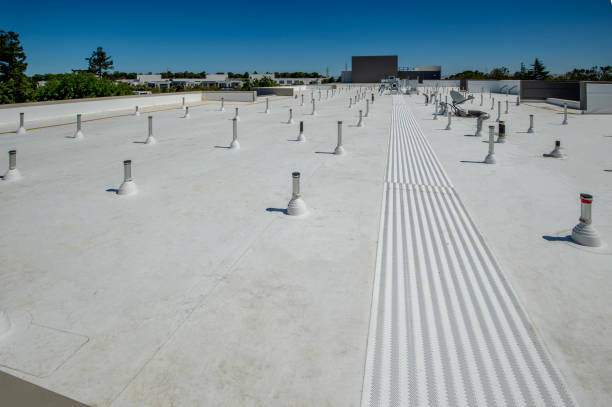 Best Roof Ventilation Installation  in Manche North Shore, CA